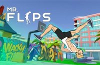 미스터 플립 Preview